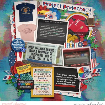 Protect Democracy