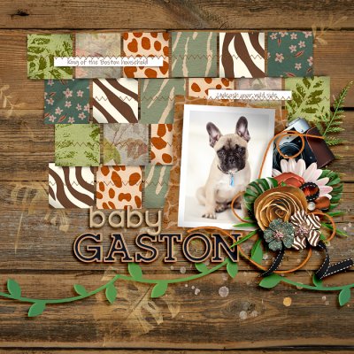 Baby Gaston