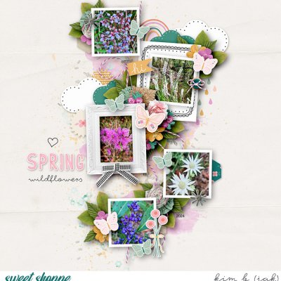 Spring Wildflowers