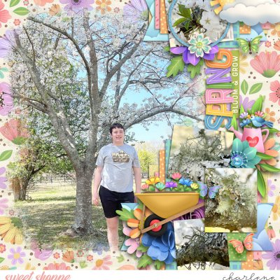 Spring Bloom & Grow