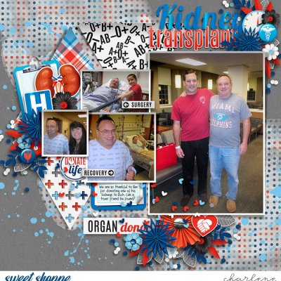Kidney Transplant