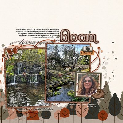 Bloom