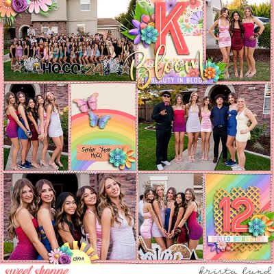 SSD-KL-SR-YEAR-2024_9-HoCoGroup