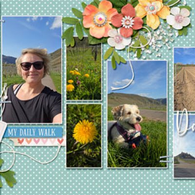 photo scavengers hunt
