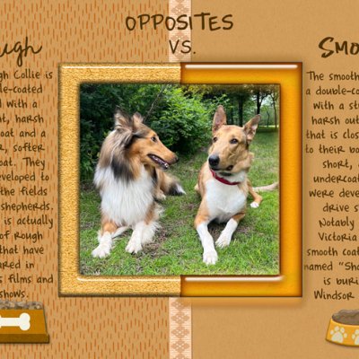 Opposites - Rough vs Smooth