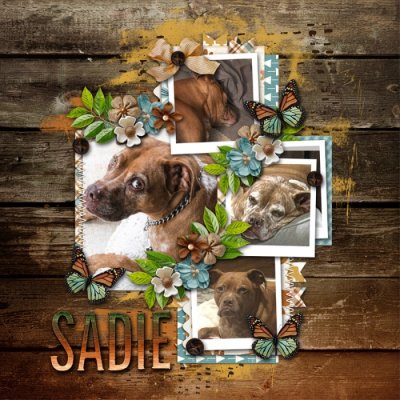 Sadie Girl