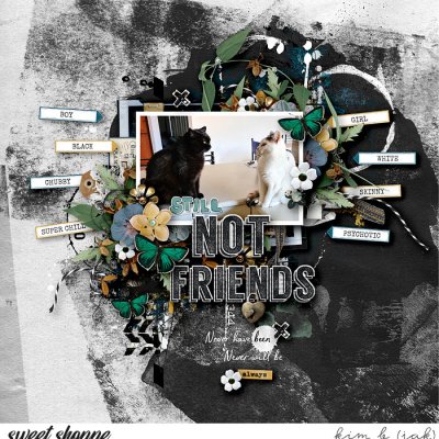 Not Friends