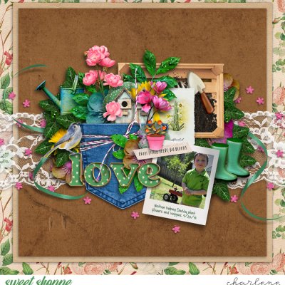 Love - From Little Seeds, Big Blooms