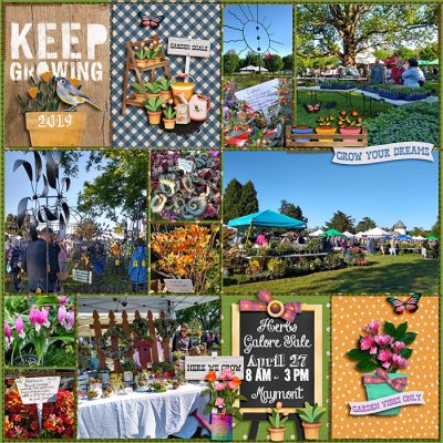Herbs Galore Sale