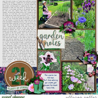 2024 21 week garden notes 01