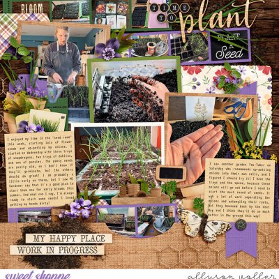 Time to Plant