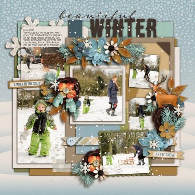 Beautiful winter