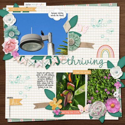 spring to life