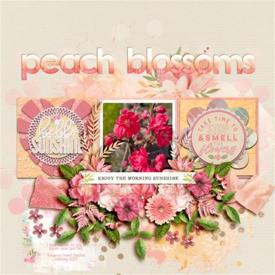 Peach Blossoms