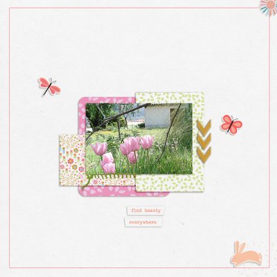 Tulipes