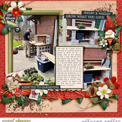 Potting Bench