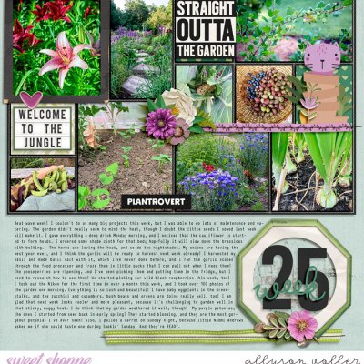 2024 25 week garden notes 01