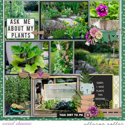 2024 25 week garden notes 02