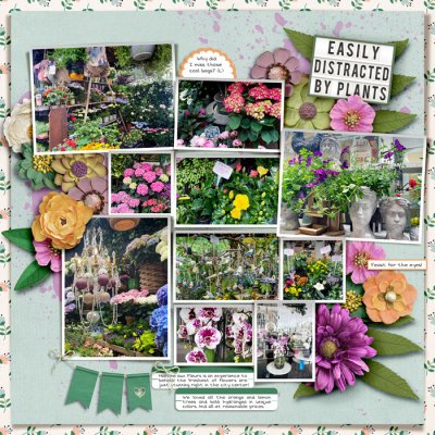 Paris Flower Market 2