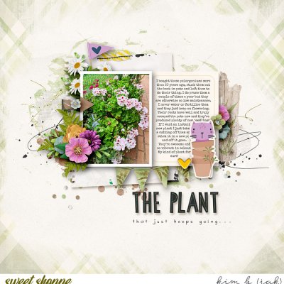 The Plant