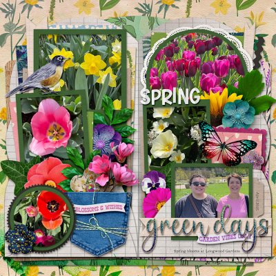 Spring