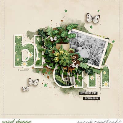 Bloom