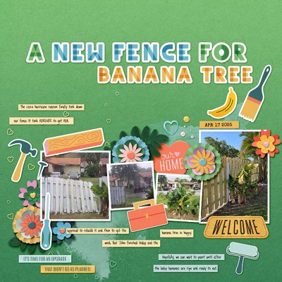 a new fence for banana tree
