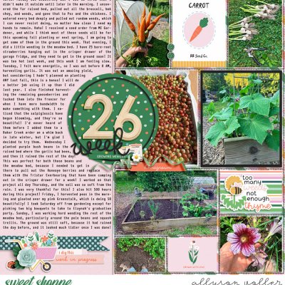 2024 PL 26 week garden notes 01