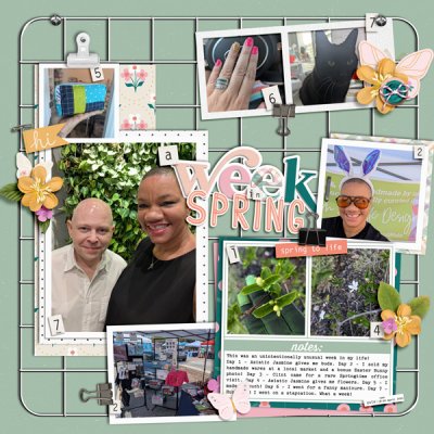 CYOA - April24 - Week in the Life - A Week in Spring