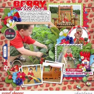 Berry Picking