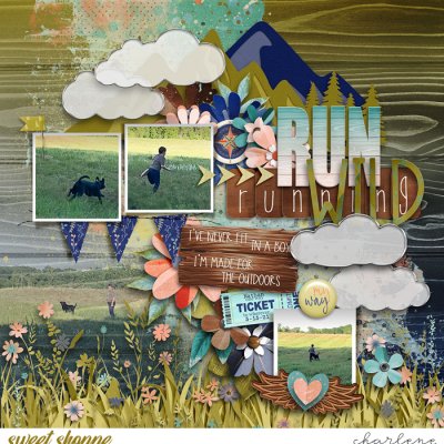 Run Wild