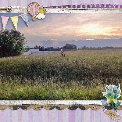 oh deer!
