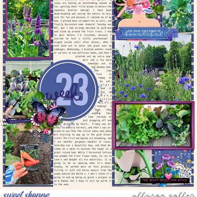 2024 23 week garden notes 01