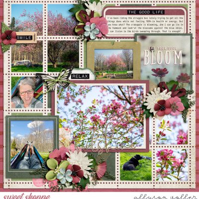 Bloom
