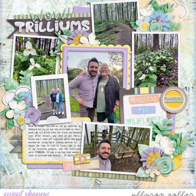 Wow Trilliums