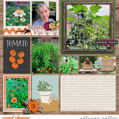 2024 31 week garden notes 02