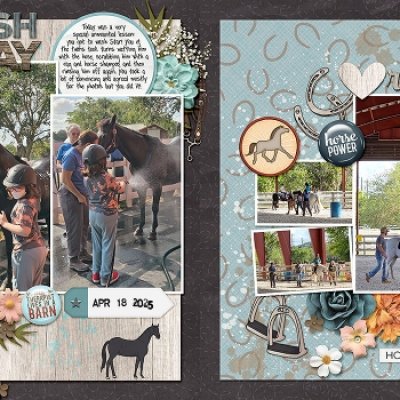 equine therapy double page spread