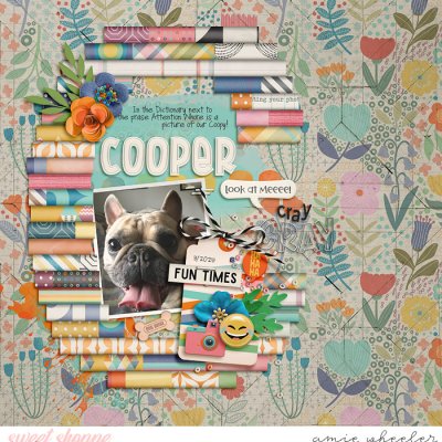 Cooper