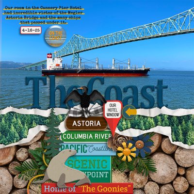 Ships under the Metzger-Astoria Bridge