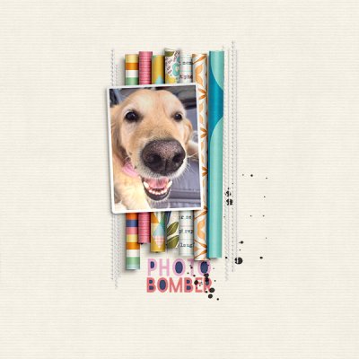 cmg-camera-ham-Tracy