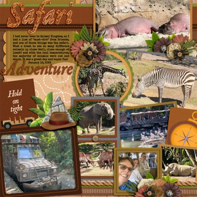 Animal Kingdom Safari