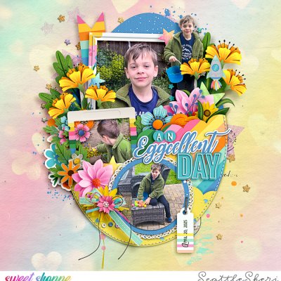 An Eggcellent Day