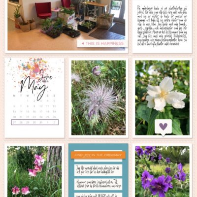 Week 22a 2024