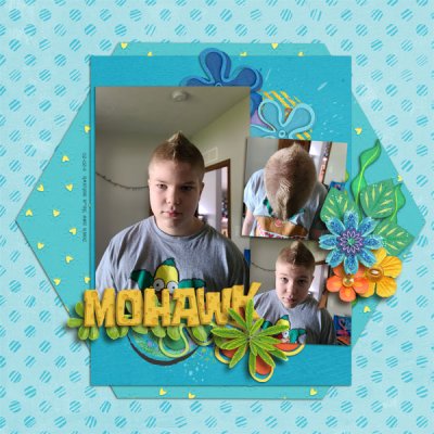 dom-mohawk