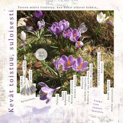 Spring Layout for iSDN 2025 Challenge