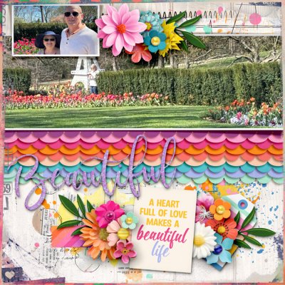 Beautiful Life