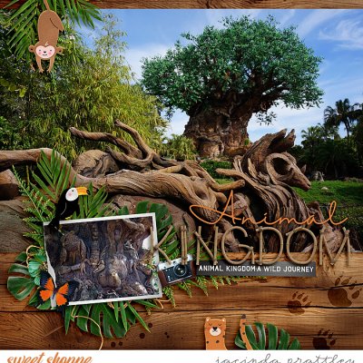 Animal Kingdom