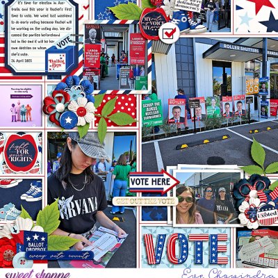 vote