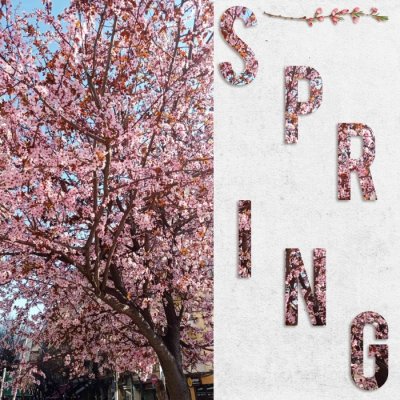 Spring