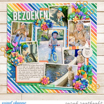 Bezoeken